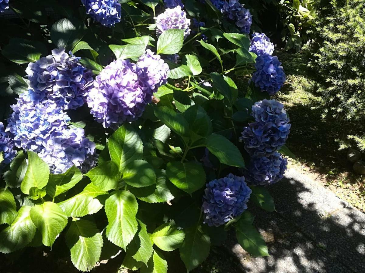 Residenza Sud - Con Giardino * Caserta